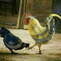أحب انيك وانتاك (@hoho72000hoho71) 's Twitter Profile