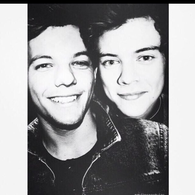 17 years young, Directioner, 5sos, Janoskinator, Larry shipper (aka bullshipper), June 28th 1D, 0/5, dont be afraid to ask for a follow