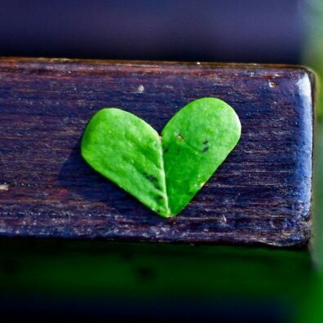 mis_013's profile picture. 