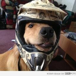 punkabbestie's profile picture. θεωρίες συνωμοσίας κ εθνικιστική προπαγάνδα πουλάν οι εμπόροι στην TV για δε περνάνε πια τραγούδια για φτωχολογιά. one love οne love no matter where u come from