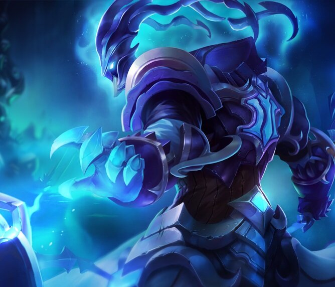 League of Legends Support Player