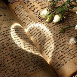 Random Readers is a new website that reviews all of your favorite books, as well as allowing users to submit their own thoughts and views on each title.