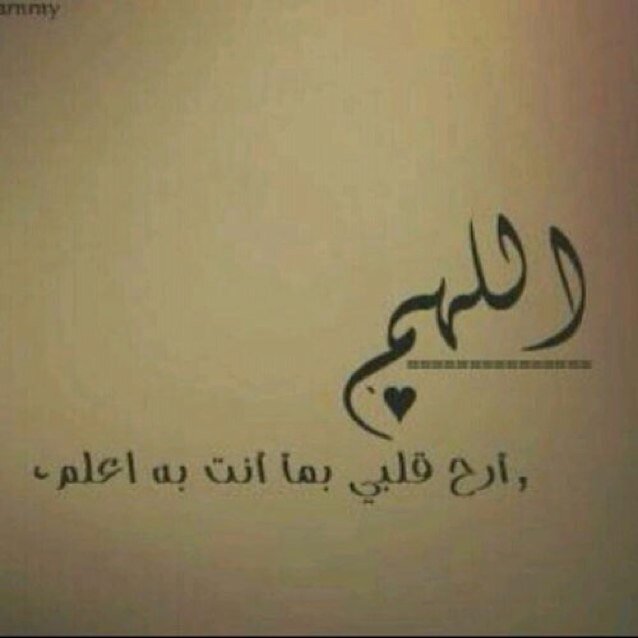 إنسانية جاءت تستفيد وترجو رحمة ربها