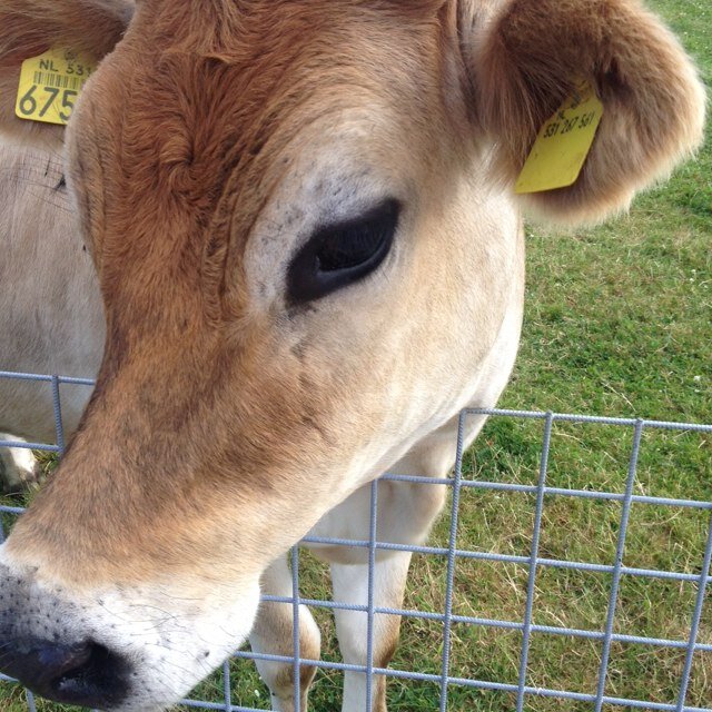 ned5050's profile picture. 