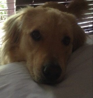 acerbicbitch's profile picture. I do Twitter for news. Occasionally retweet or comment during my 3 minutes morning dump as I kinda think reading mostly sh1t and creating it, belongs together