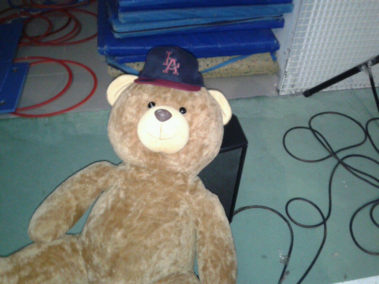 PregonHcrey's profile picture. Cuenta Oficial para los vídeos del pregón. Síguenos en http://t.co/diDnRsj5T6