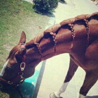pin: 7543F18D