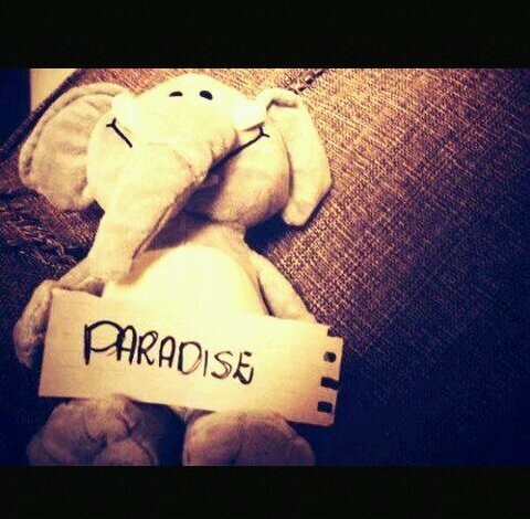 T_W_4_T_T_E_R's profile picture. Twatter - no one cares what you are doing. Official fan page.