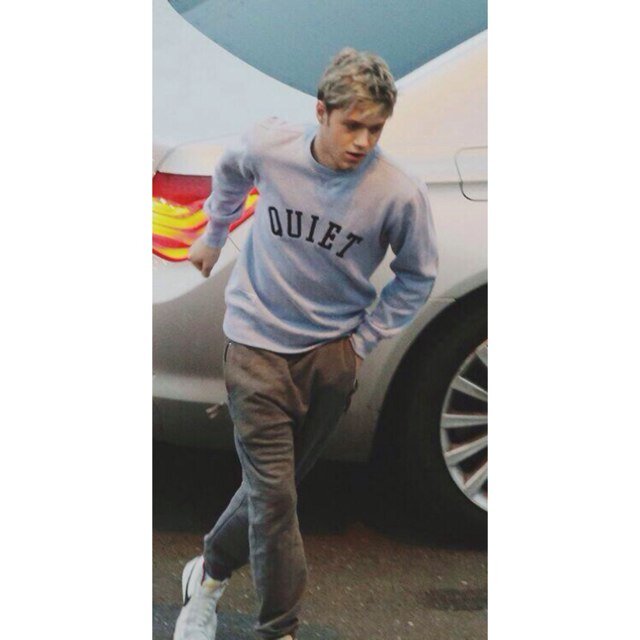 I'm niall horan and i love you.