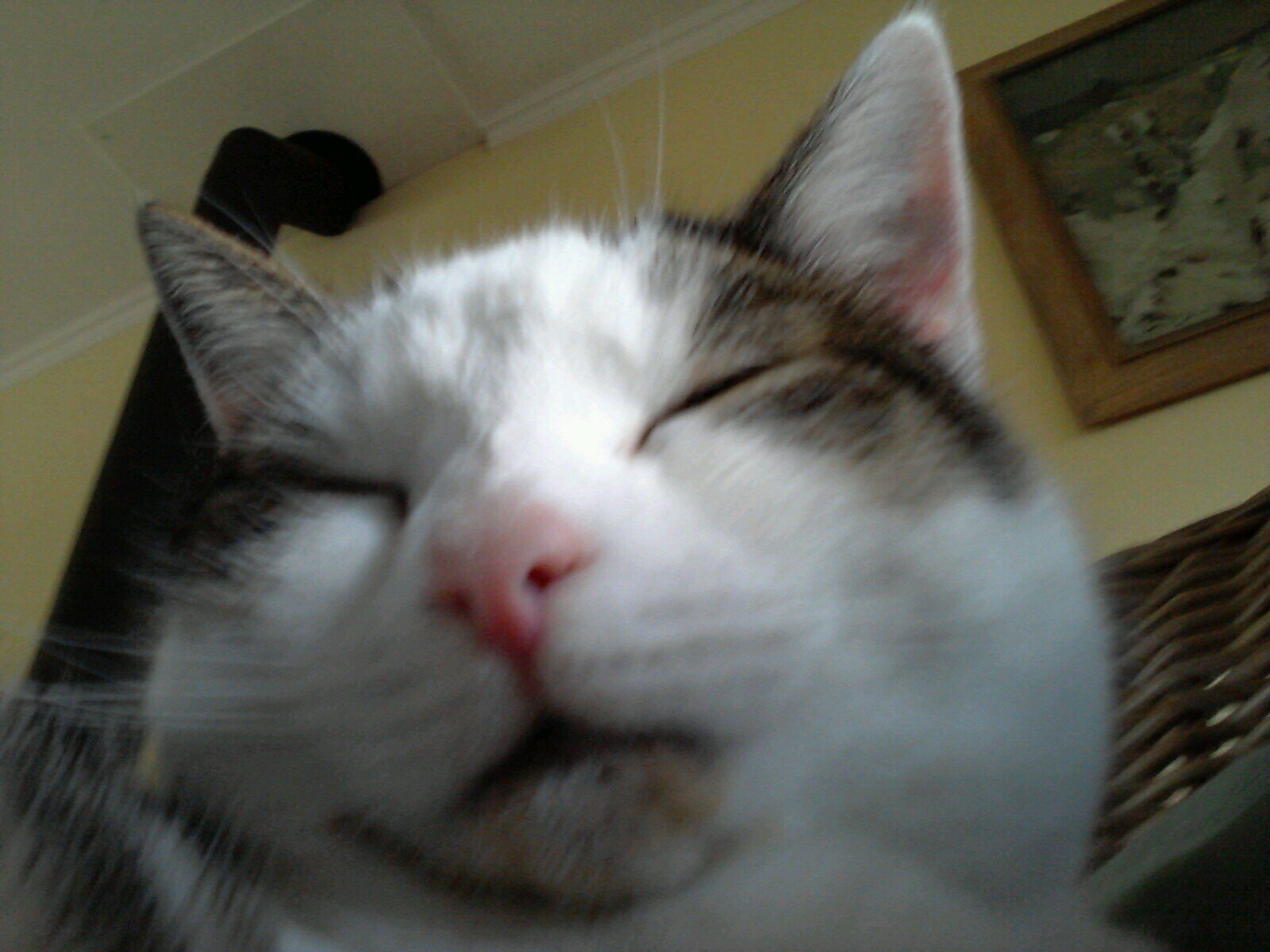 floddertje_dik Profile Picture