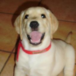 .........NO SE K POSAR
