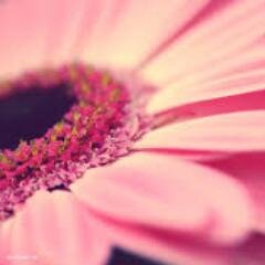 Ends are not bad things, they just mean that something better is about to begin..