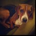 Carol Gilbert (@cagilb49) Twitter profile photo Carol Gilbert (@cagilb49) Twitter profile photo