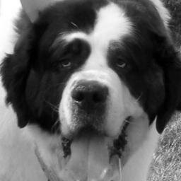 GriffinsCandG's profile picture. Griffin's Card and Gift is one of the largest and most unique retailers in the Dayton area!