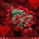 هاوي كس (@02Alumare) Twitter