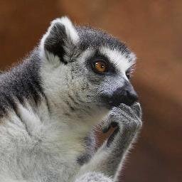 DenisRodman7's profile picture. 