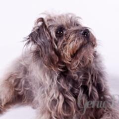 Photography is a passion and we live with bunnies on the Downs!
Please like us on http://t.co/opwa3Zjszi