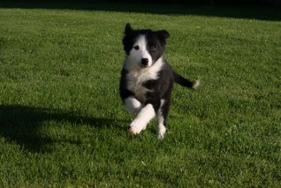 pass_bryan's profile picture. Farming is a way of life however it can get tough when you have thousands of visitors watching what you do!