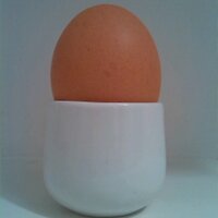 HereWeGo9MoreinaRow (@ws2n28) 's Twitter Profile