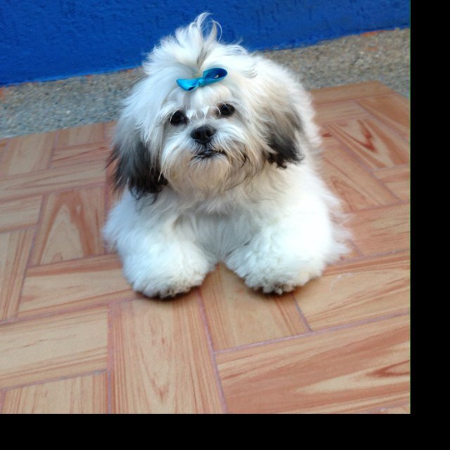 andrescantor15's profile picture. 