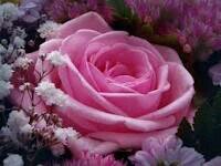 spelbound157's profile picture. 