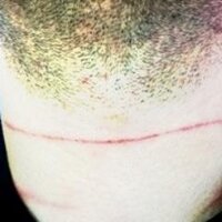 StrictObedience (@strictobedience) 's Twitter Profile Photo StrictObedience (@strictobedience) 's Twitter Profile Photo