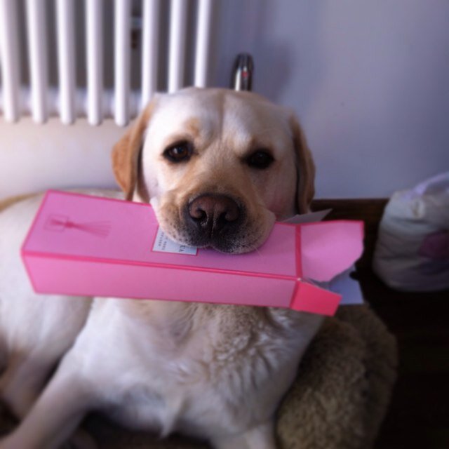 spamemail23's profile picture. 