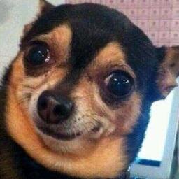 androidnew78's profile picture. 