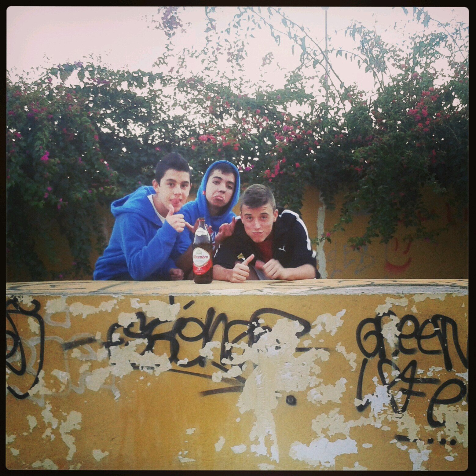 leones