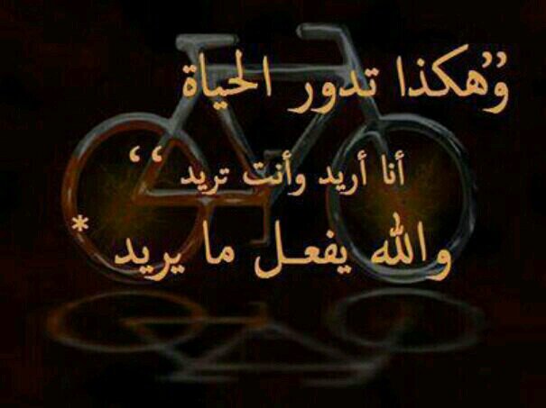 نواف