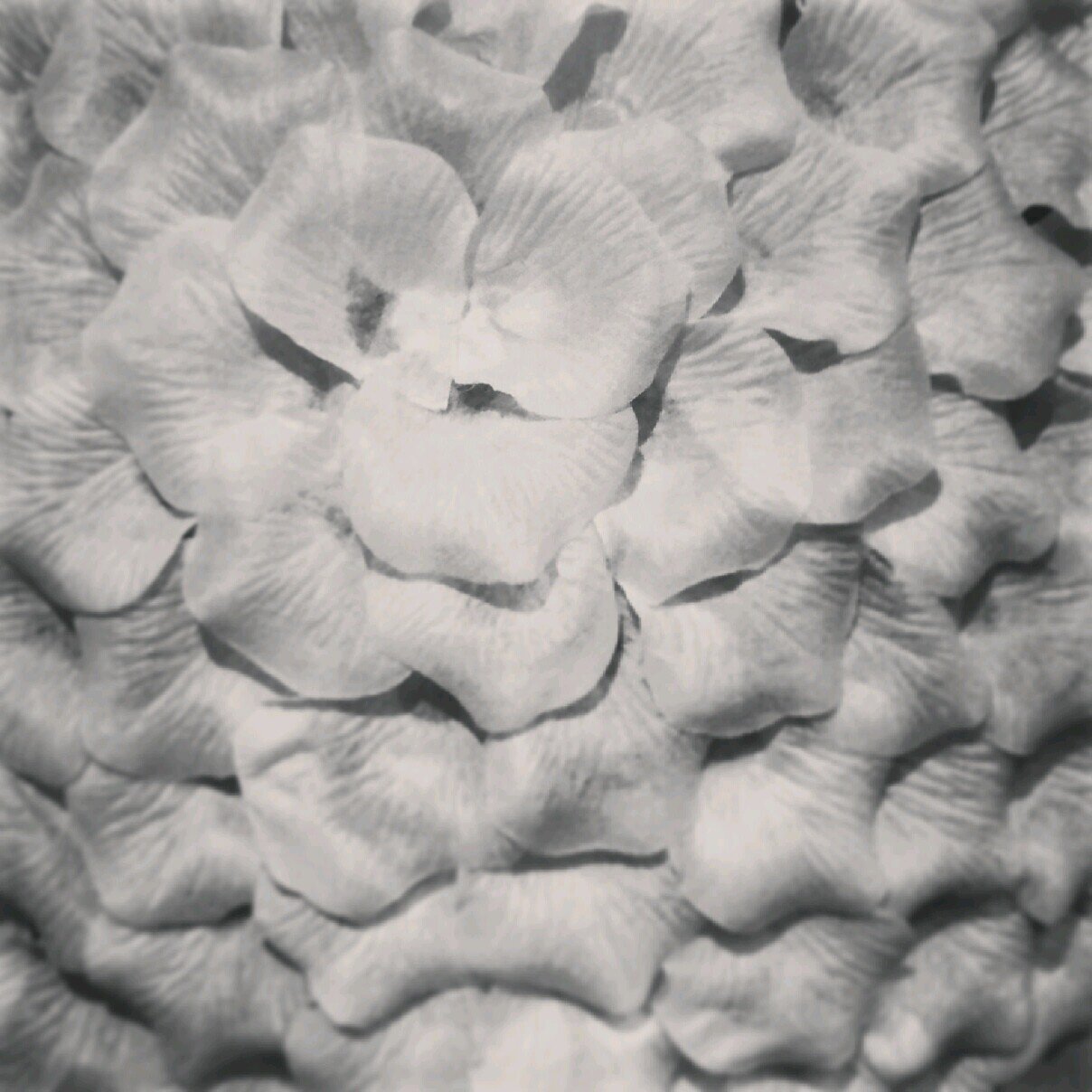 Hopejustme's profile picture. ...