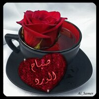 نياك حريم كبيره بس (@ridasheff) Twitter profile photo