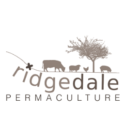 ridgedalePERMACULTURE is a pasture & perennial crop based beyond-organic local farm & dedicated educational hub for Permaculture, Keyline & Holistic Management