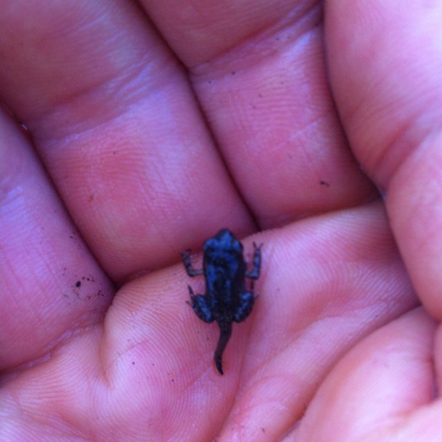 BeckyClaireRoss's profile picture. Ruining food professionally since 2006.  Burning sourdough since 2011.