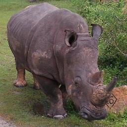 JHDK23 Profile Picture