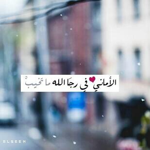 ‏الرياض