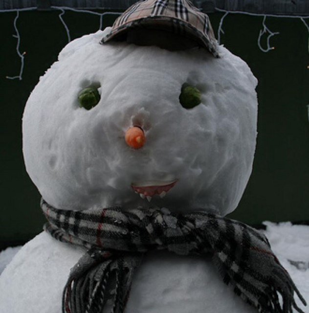 I'm a man made of snow living in Salford. Been hiding in my mate's freezer since last year. Come on, snow for gods sake.