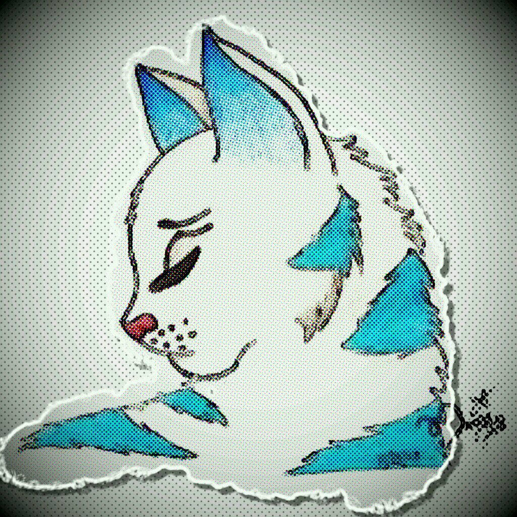Strong beautiful blue striped white she cat. Medicine cat for my allies(FC) and windclan. No mate. Clan: WindClan