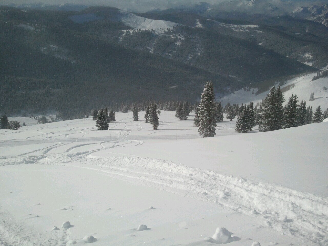 A_Krawiec's profile picture. 