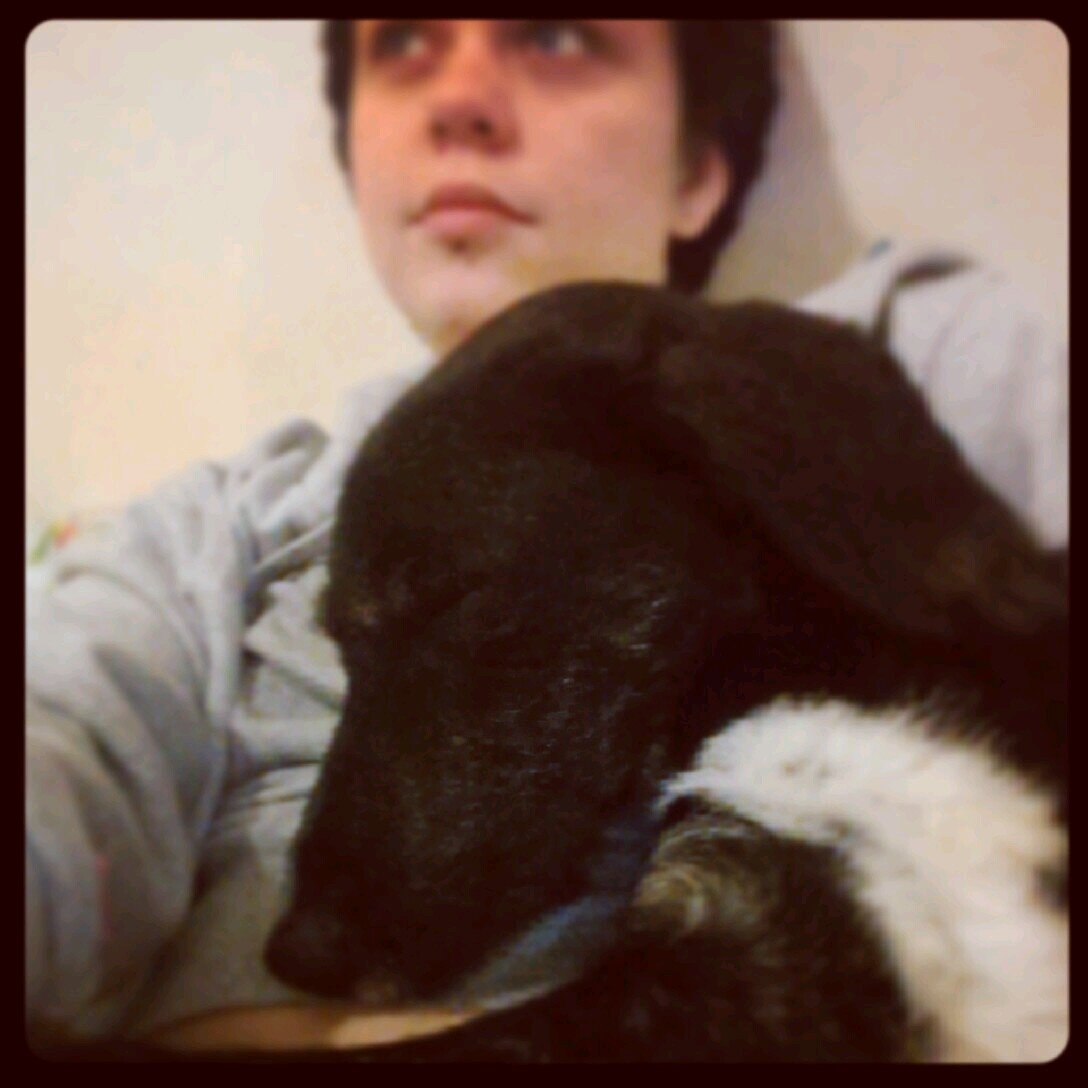 Patterdale Terrier X Whippet. Cheeky so and so. Read about me doing funny shit either alone, with my mummy or best bud Skye.