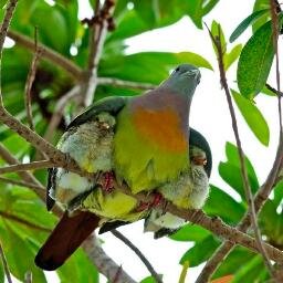 Poet artist mother and grand mother, in love with justicie and children. Advocate of peace and against the war. Believe in free speech. My views are my own.