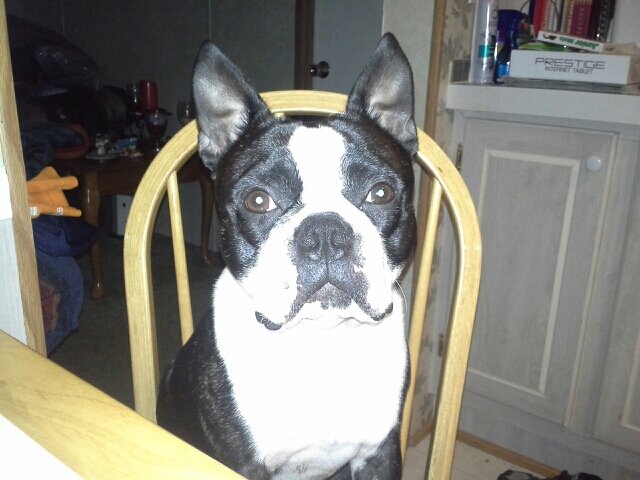 Boston loving life and missing my bro...life goes on