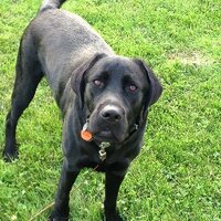 Vincent Pinelli (@vincep327) 's Twitter Profile