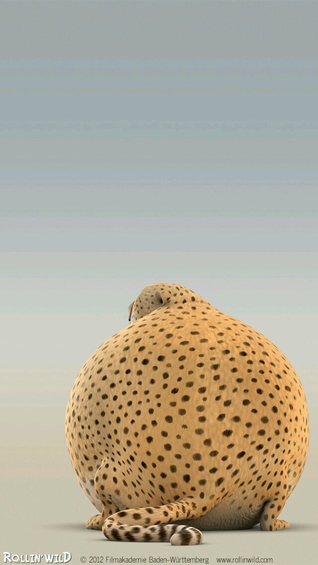 wjiet's profile picture. 