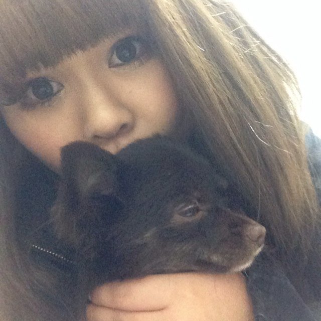 音楽らぶ！
CLUBらぶ！
動物らぶ！