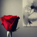 سليمان علي (@0509001023) Twitter