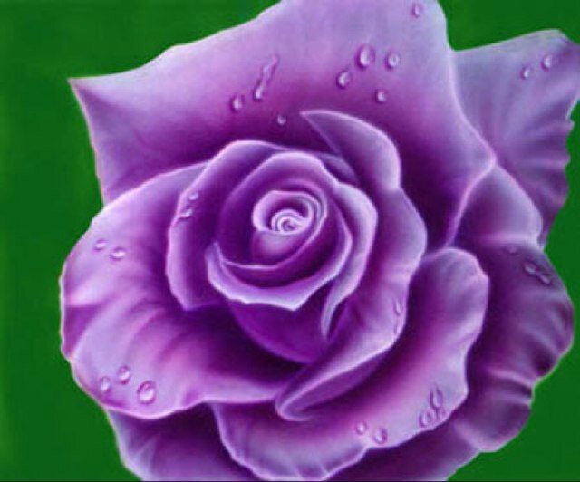 45_toutou's profile picture. 