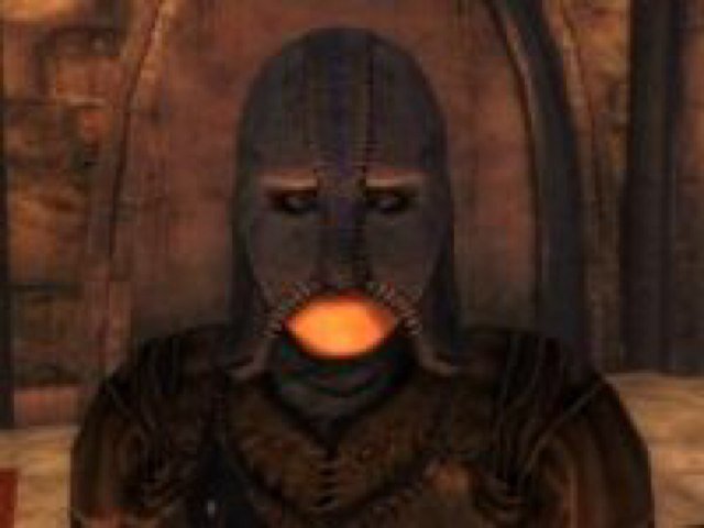 Gray_Fox_The's profile picture. Most famous during the Oblivion Crisis. Headmaster of Thieves Guild.