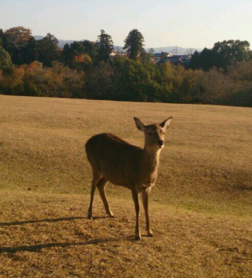 noel1300's profile picture. 