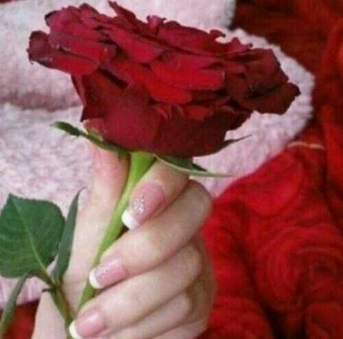 nawal17056 Profile Picture